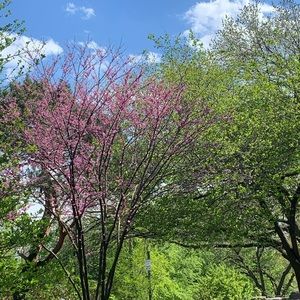 MAKE OFFERS!!! CREATE BUNDLES!!